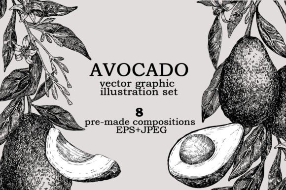 Download Avocado Vector Graphic Illustration Set - Illustration Collection