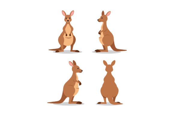 Download Kangaroo Vector Illustration in Four Dif - Illustration Collection