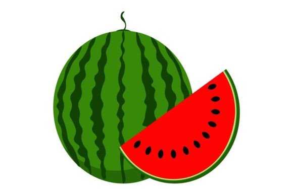 Download Watermelon Vector Illustration - Illustration Collection
