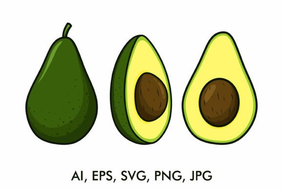 Download Avocado Vector Drawing Set - Avocado vector Collection