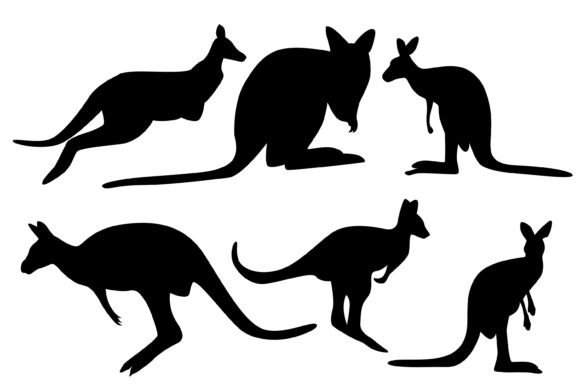 Download Kangaroo Vector Illustration - Illustration Collection