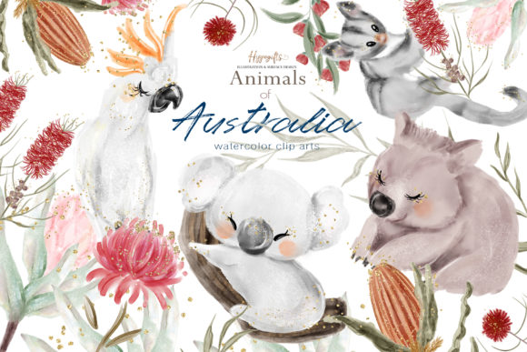 Download Australia Animals Illustration - Illustration Collection